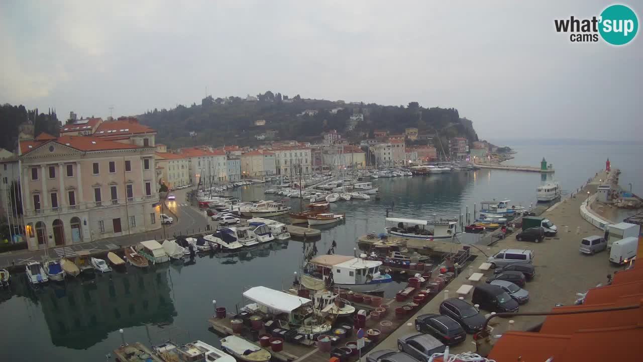 Webcam en direct de Piran “Mandrač” – Incroyable vue en direct de la Villa Piranesi