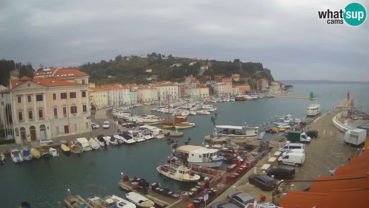 Live webcam da Pirano “Mandrač” – Splendida vista live da Villa Piranesi