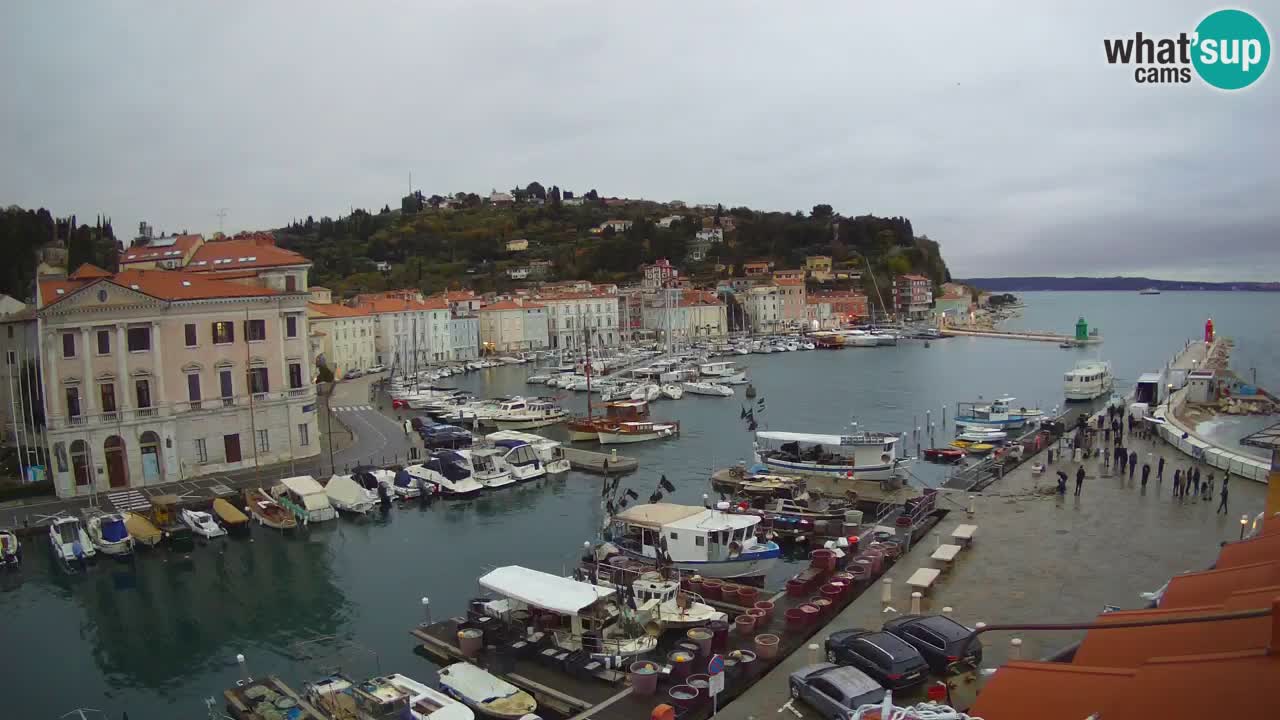 Cámara web en vivo desde Piran “Mandrač” – Increíble vista en vivo desde Villa Piranesi