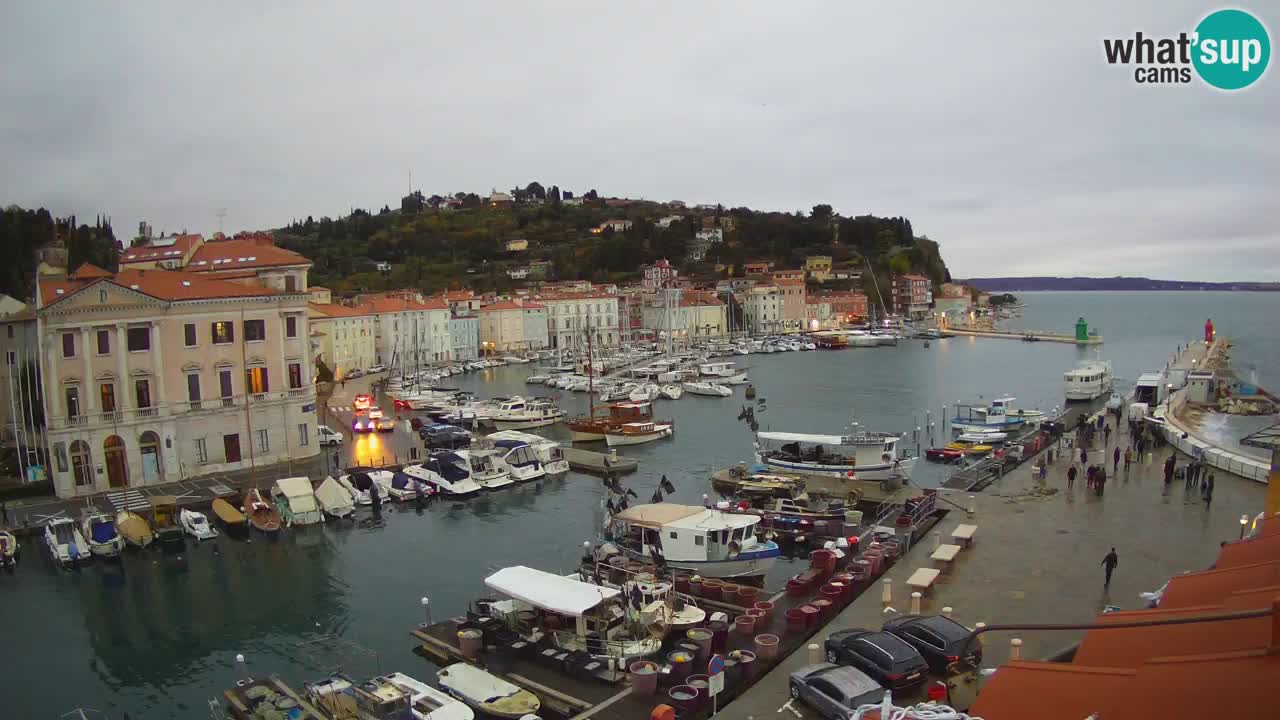 Live-Webcam aus Piran “Mandrač” – Erstaunliche Live-Ansicht von Villa Piranesi