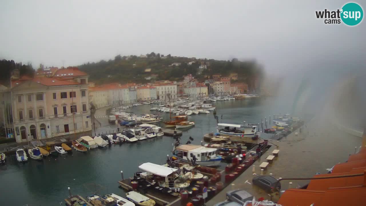 Live webcam da Pirano “Mandrač” – Splendida vista live da Villa Piranesi