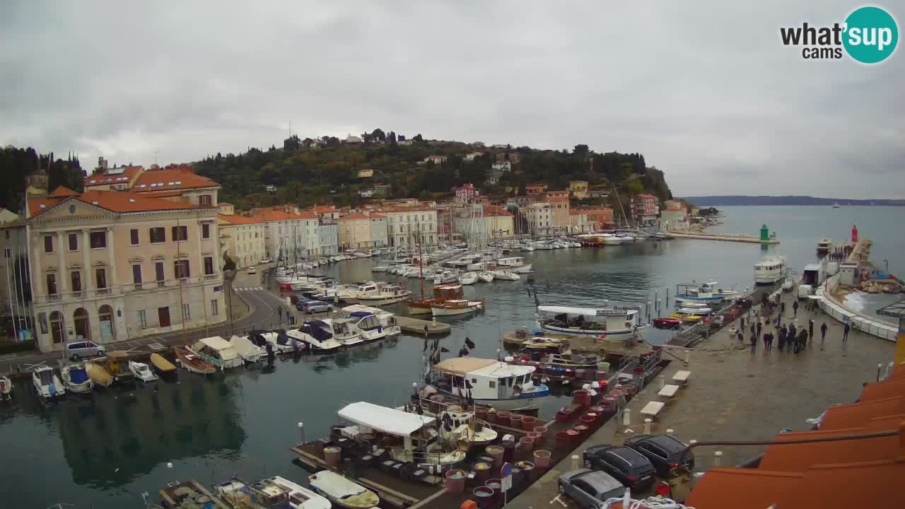 Live-Webcam aus Piran “Mandrač” – Erstaunliche Live-Ansicht von Villa Piranesi