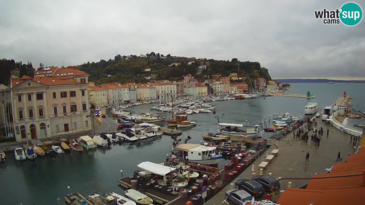 Live webcam da Pirano “Mandrač” – Splendida vista live da Villa Piranesi