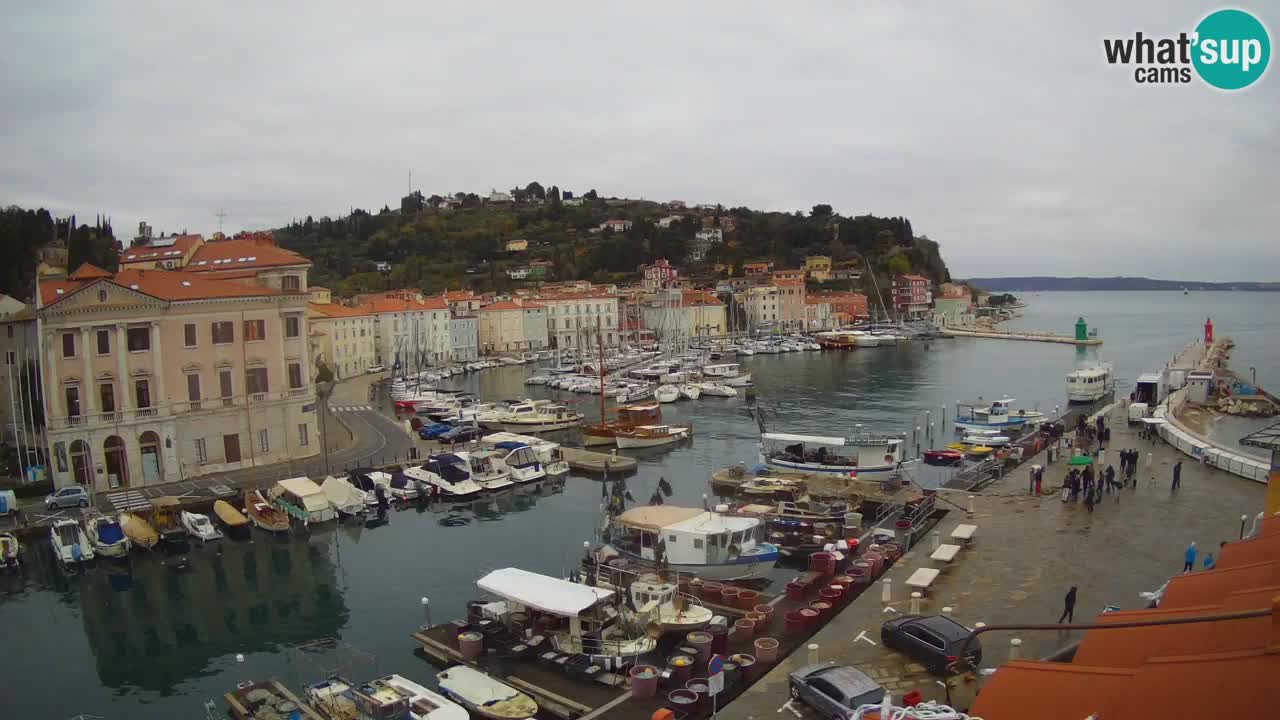 Live webcam da Pirano “Mandrač” – Splendida vista live da Villa Piranesi