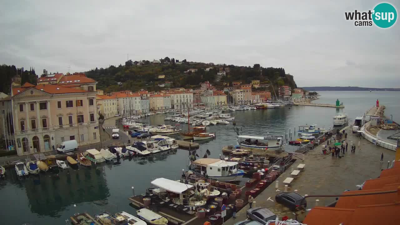 Live-Webcam aus Piran “Mandrač” – Erstaunliche Live-Ansicht von Villa Piranesi