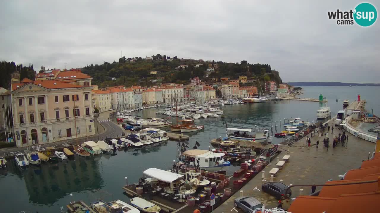 Live webcam da Pirano “Mandrač” – Splendida vista live da Villa Piranesi