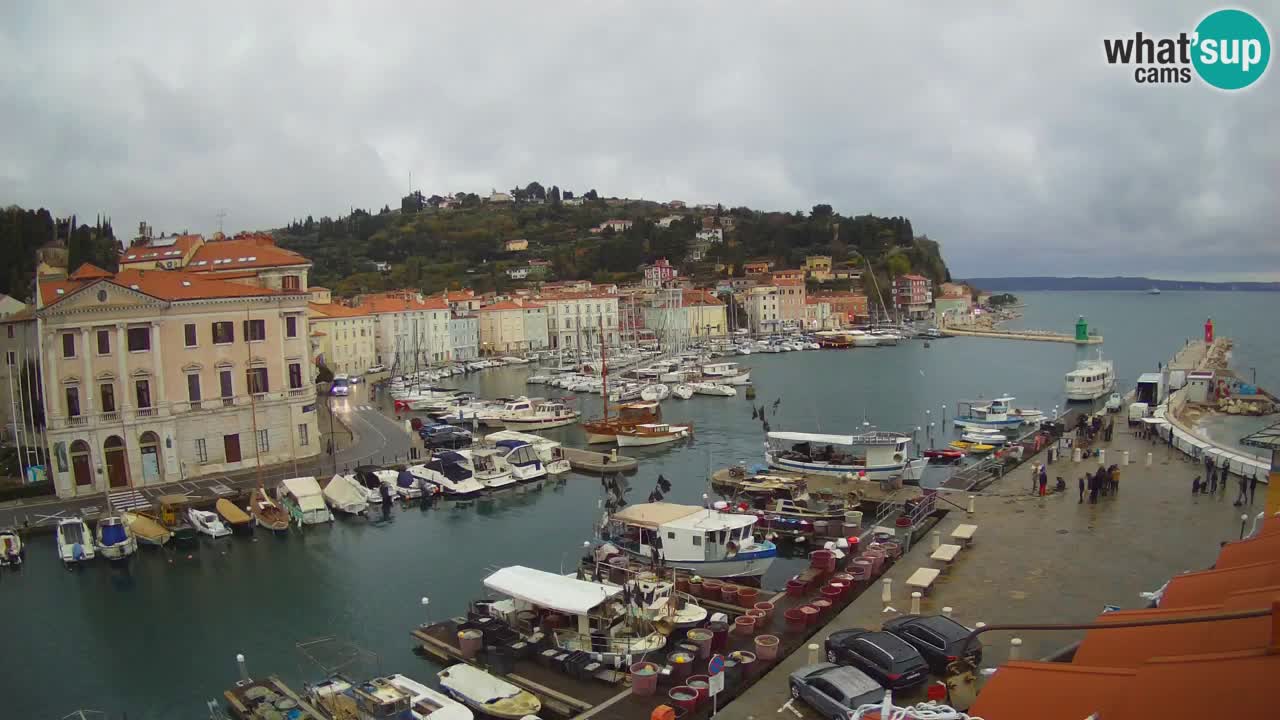 Live-Webcam aus Piran “Mandrač” – Erstaunliche Live-Ansicht von Villa Piranesi