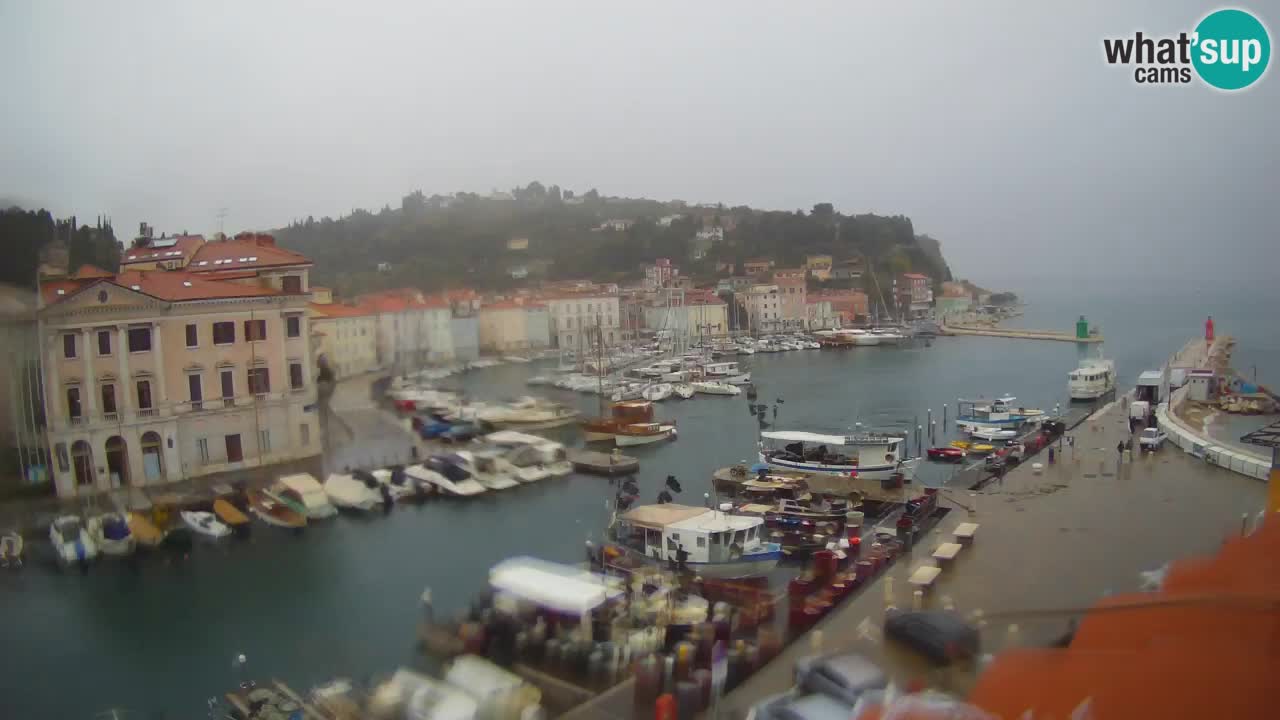 Live webcam da Pirano “Mandrač” – Splendida vista live da Villa Piranesi