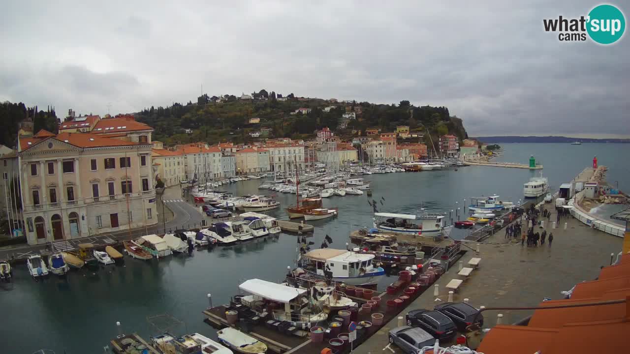 Live webcam da Pirano “Mandrač” – Splendida vista live da Villa Piranesi