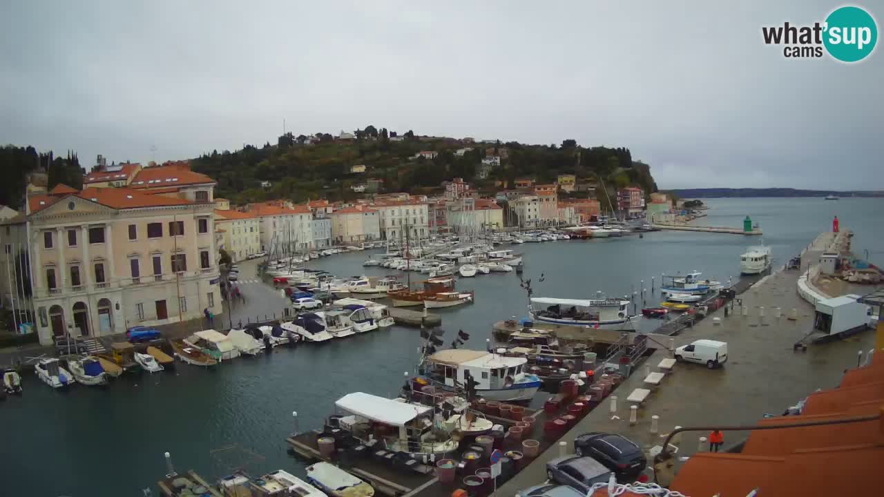 Live webcam da Pirano “Mandrač” – Splendida vista live da Villa Piranesi