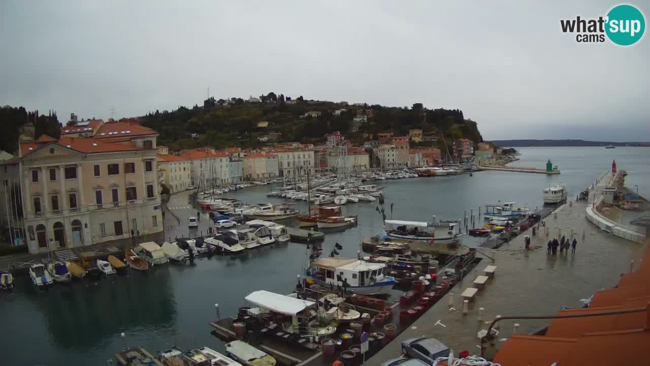 Live webcam da Pirano “Mandrač” – Splendida vista live da Villa Piranesi