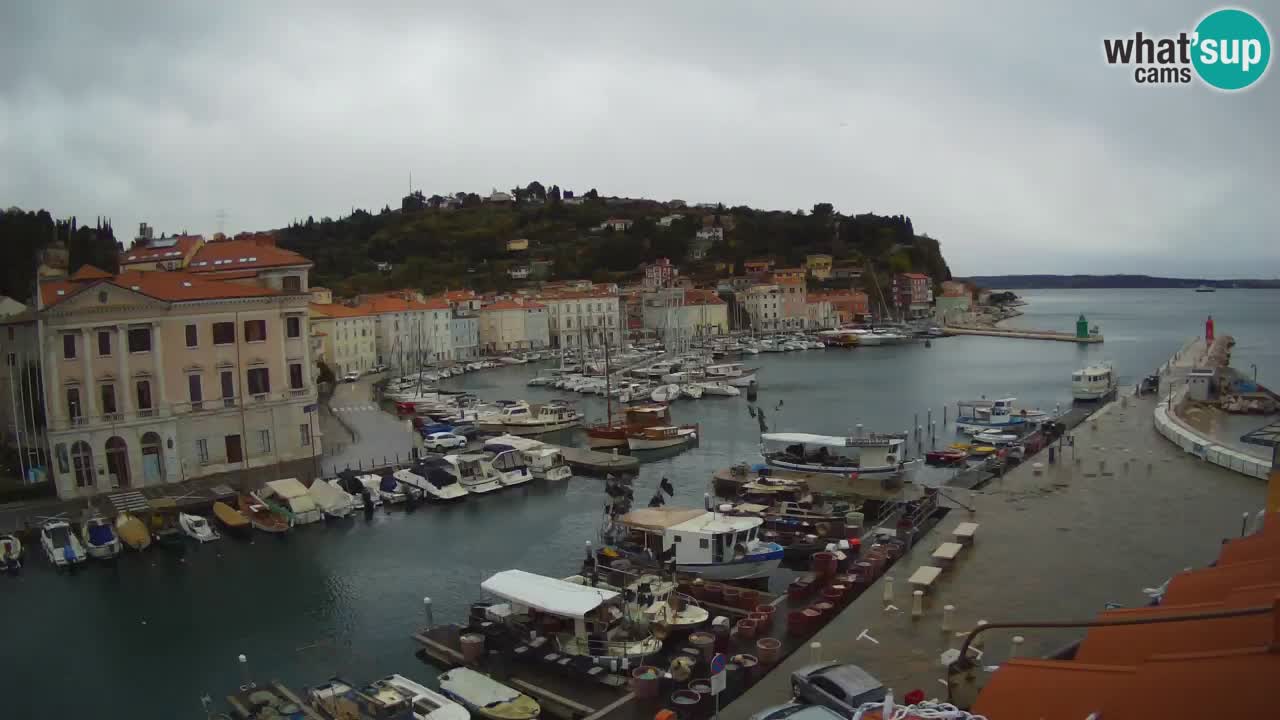 Live webcam da Pirano “Mandrač” – Splendida vista live da Villa Piranesi