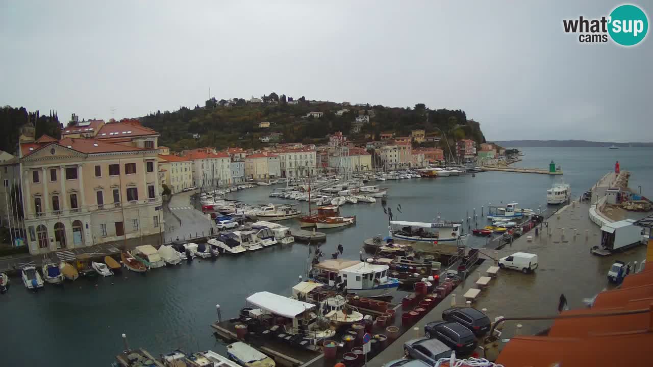 Cámara web en vivo desde Piran “Mandrač” – Increíble vista en vivo desde Villa Piranesi