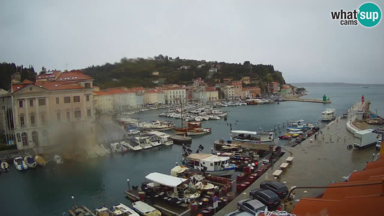 Live webcam da Pirano “Mandrač” – Splendida vista live da Villa Piranesi