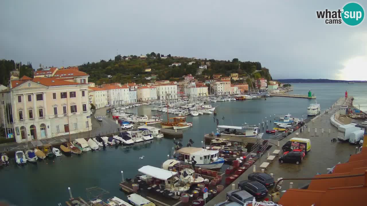 Live webcam da Pirano “Mandrač” – Splendida vista live da Villa Piranesi