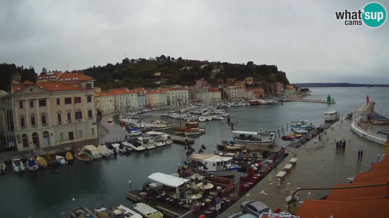 Cámara web en vivo desde Piran “Mandrač” – Increíble vista en vivo desde Villa Piranesi