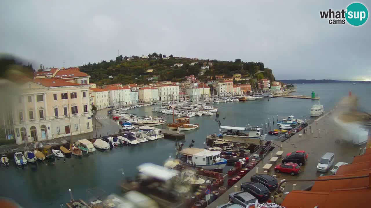 Live-Webcam aus Piran “Mandrač” – Erstaunliche Live-Ansicht von Villa Piranesi