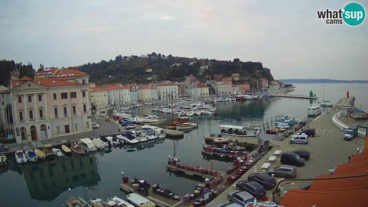 Live webcam da Pirano “Mandrač” – Splendida vista live da Villa Piranesi