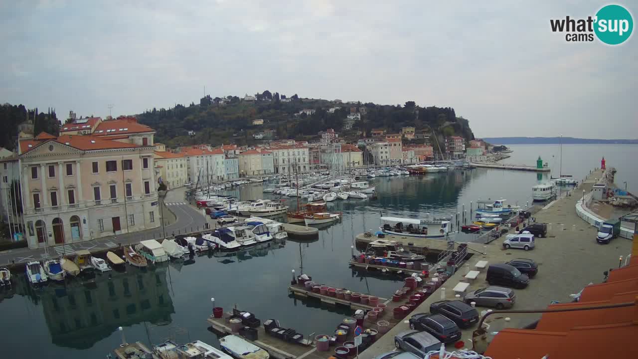 Live-Webcam aus Piran “Mandrač” – Erstaunliche Live-Ansicht von Villa Piranesi