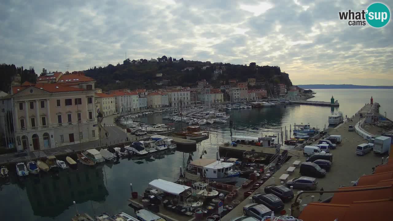 Live webcam da Pirano “Mandrač” – Splendida vista live da Villa Piranesi