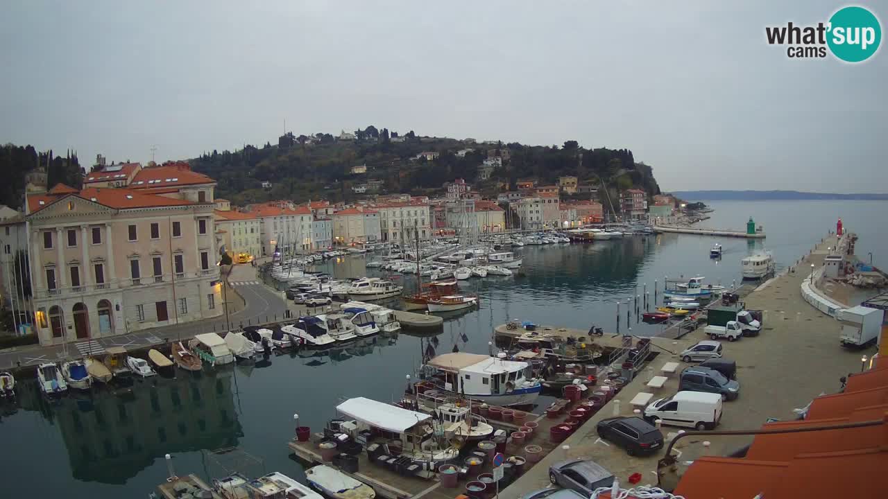 Live webcam da Pirano “Mandrač” – Splendida vista live da Villa Piranesi