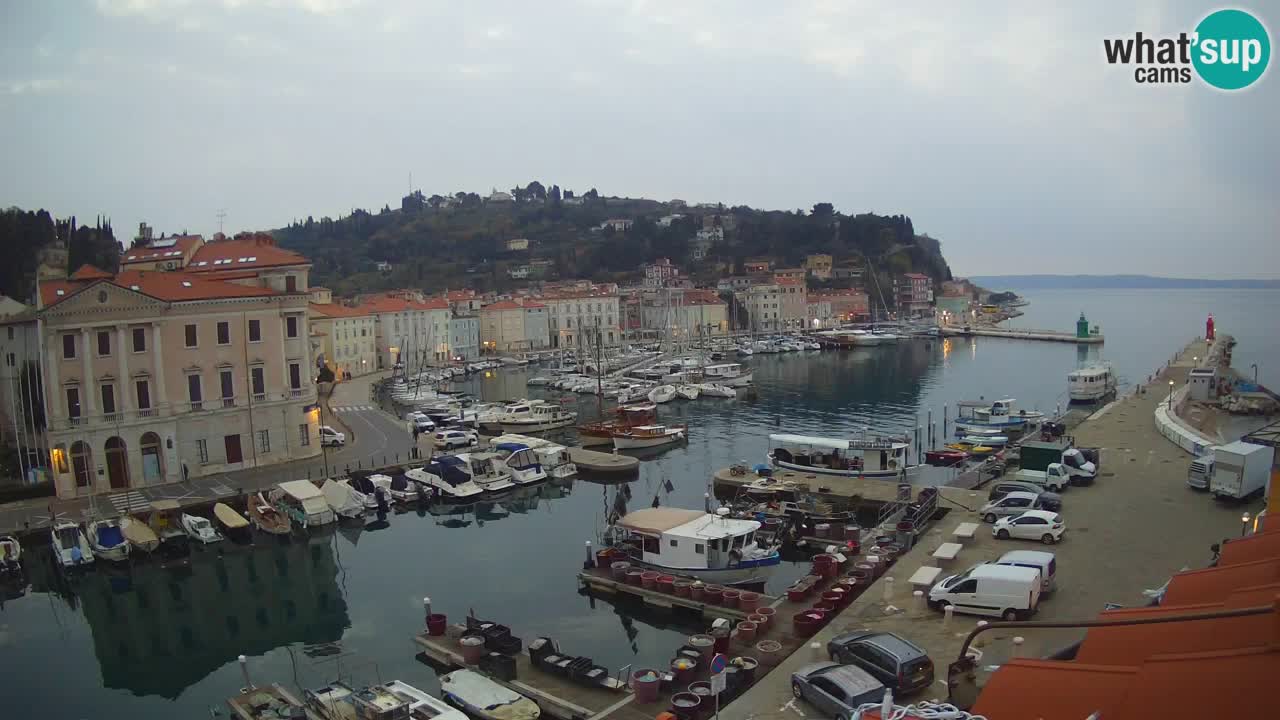 Live webcam da Pirano “Mandrač” – Splendida vista live da Villa Piranesi