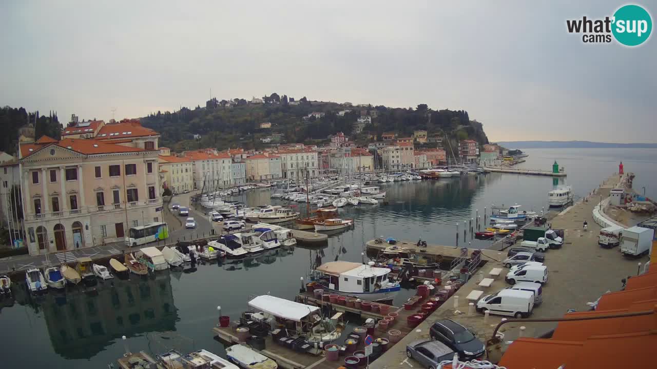 Live webcam da Pirano “Mandrač” – Splendida vista live da Villa Piranesi