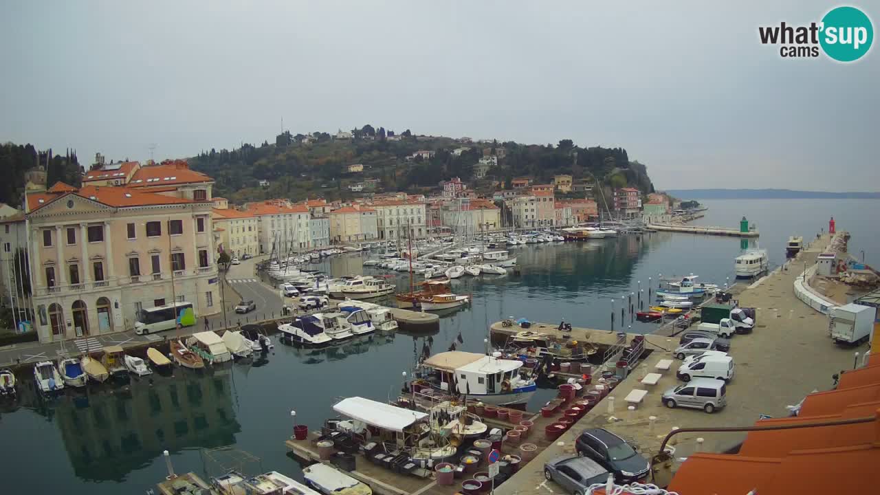 Live webcam da Pirano “Mandrač” – Splendida vista live da Villa Piranesi