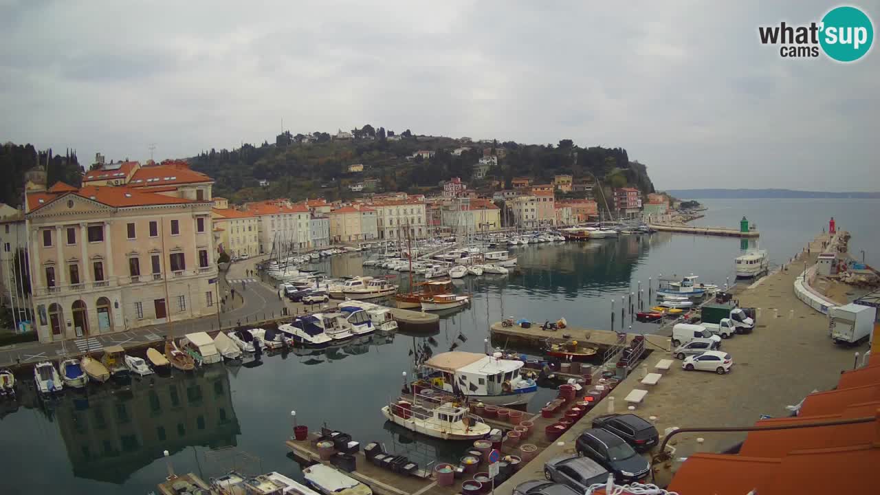 Live webcam da Pirano “Mandrač” – Splendida vista live da Villa Piranesi