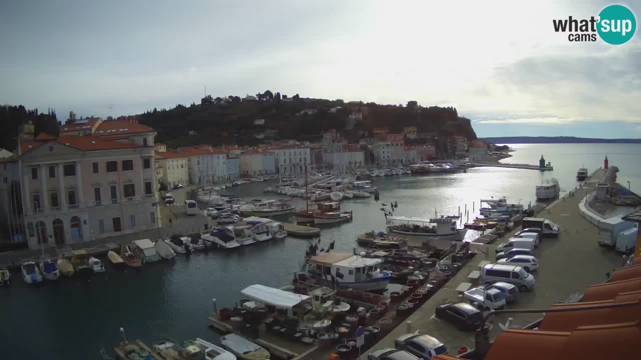 Live-Webcam aus Piran “Mandrač” – Erstaunliche Live-Ansicht von Villa Piranesi