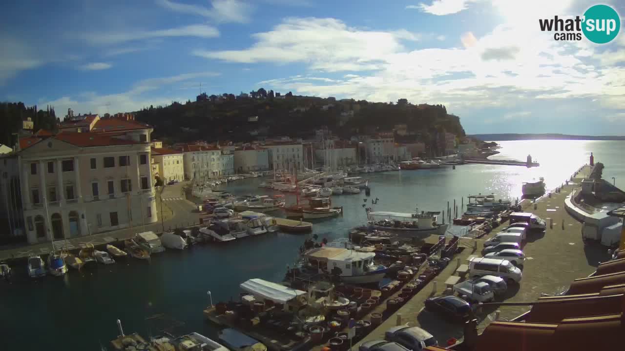 Live-Webcam aus Piran “Mandrač” – Erstaunliche Live-Ansicht von Villa Piranesi