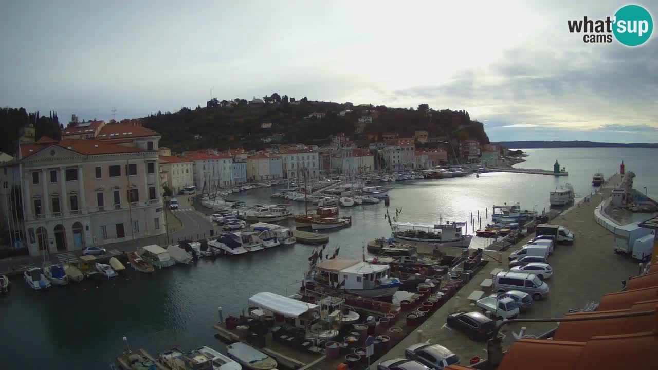 Live webcam da Pirano “Mandrač” – Splendida vista live da Villa Piranesi