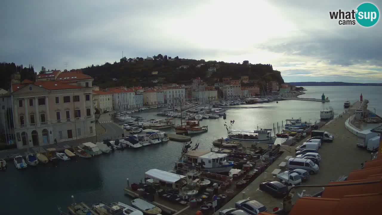 Live webcam da Pirano “Mandrač” – Splendida vista live da Villa Piranesi