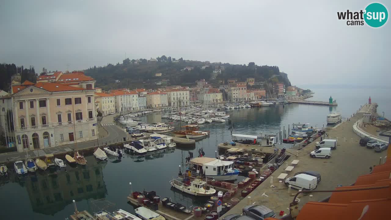 Live-Webcam aus Piran “Mandrač” – Erstaunliche Live-Ansicht von Villa Piranesi