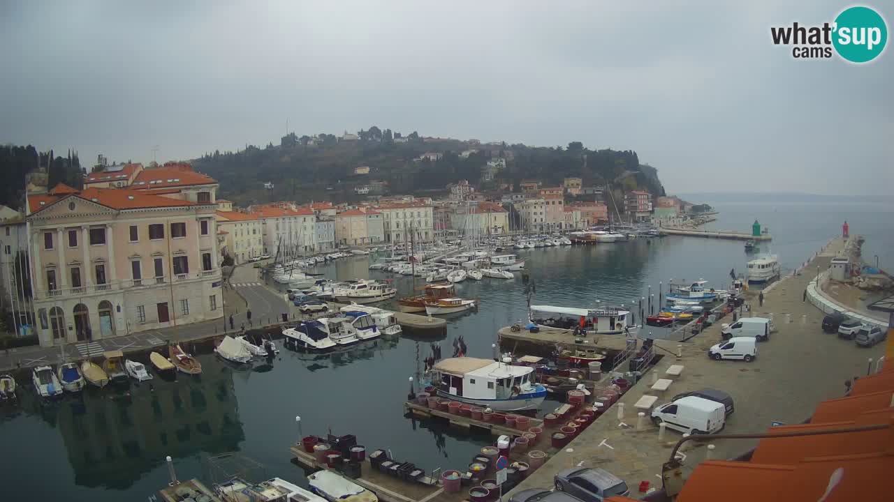 Live webcam da Pirano “Mandrač” – Splendida vista live da Villa Piranesi