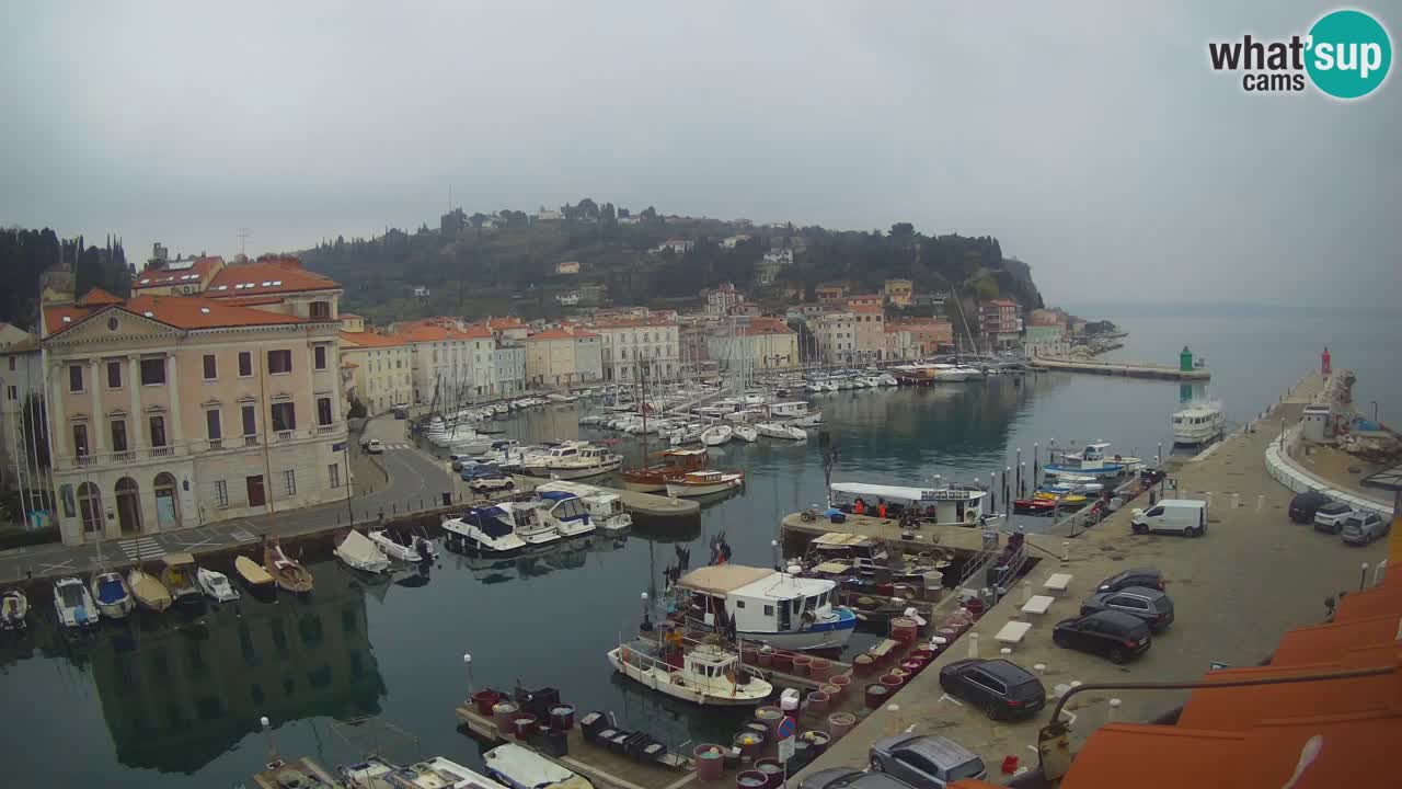 Live webcam da Pirano “Mandrač” – Splendida vista live da Villa Piranesi