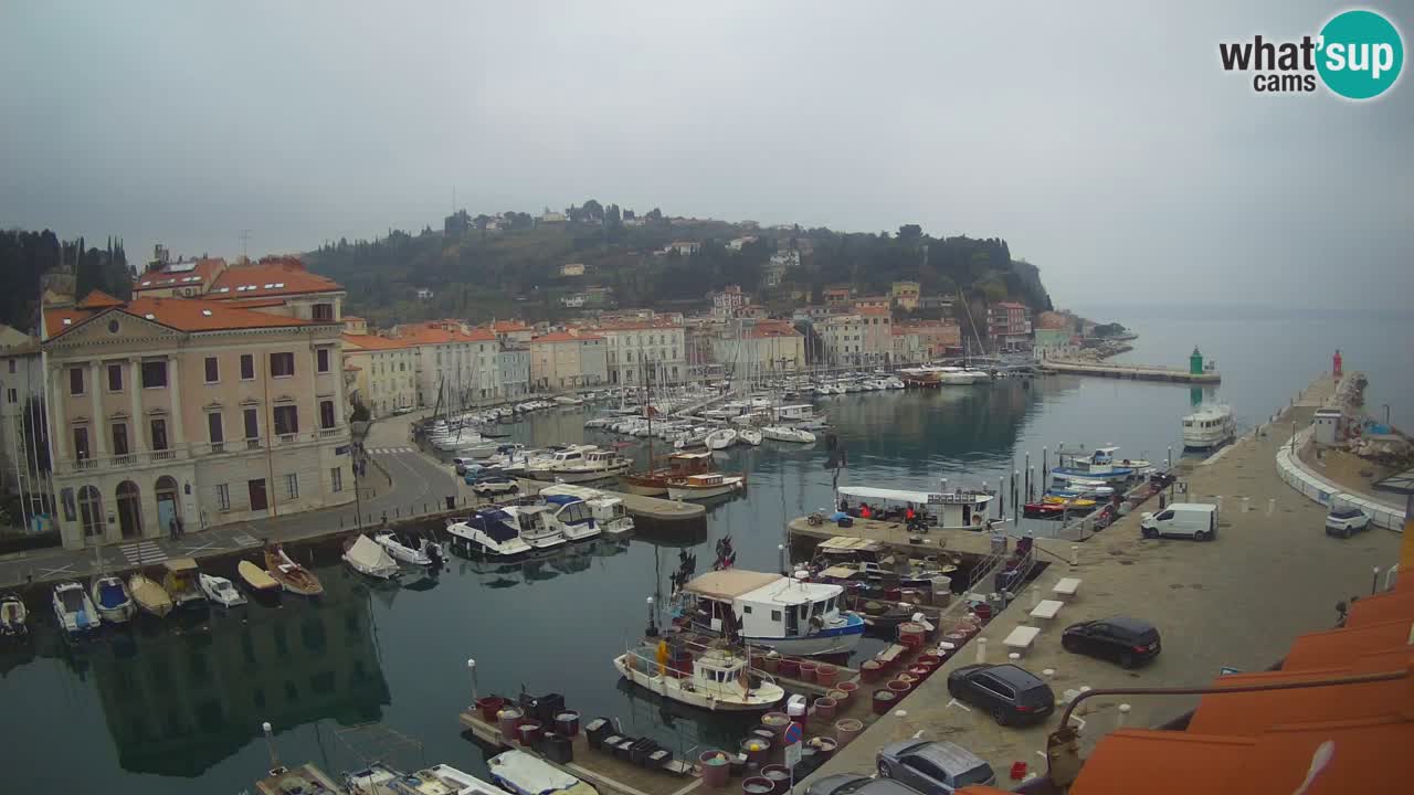 Live-Webcam aus Piran “Mandrač” – Erstaunliche Live-Ansicht von Villa Piranesi