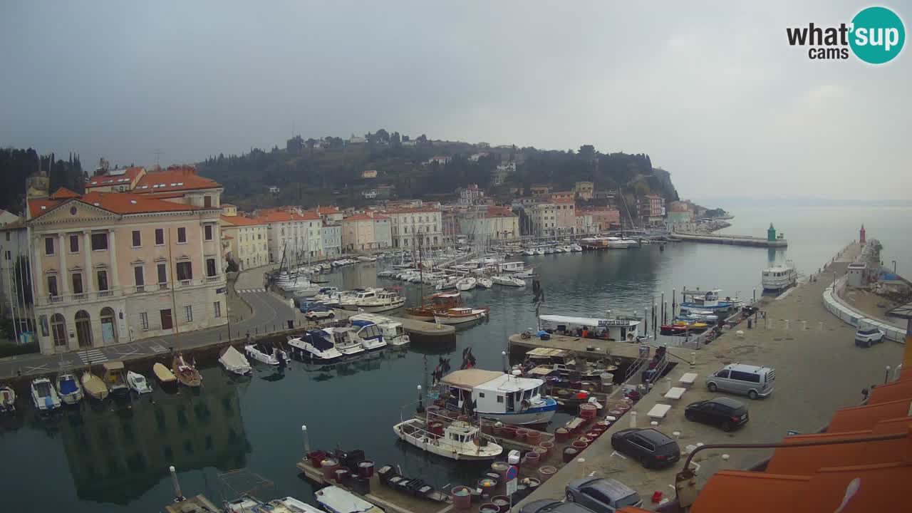 Live-Webcam aus Piran “Mandrač” – Erstaunliche Live-Ansicht von Villa Piranesi