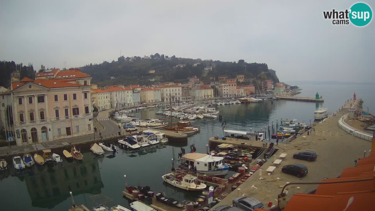 Live webcam da Pirano “Mandrač” – Splendida vista live da Villa Piranesi