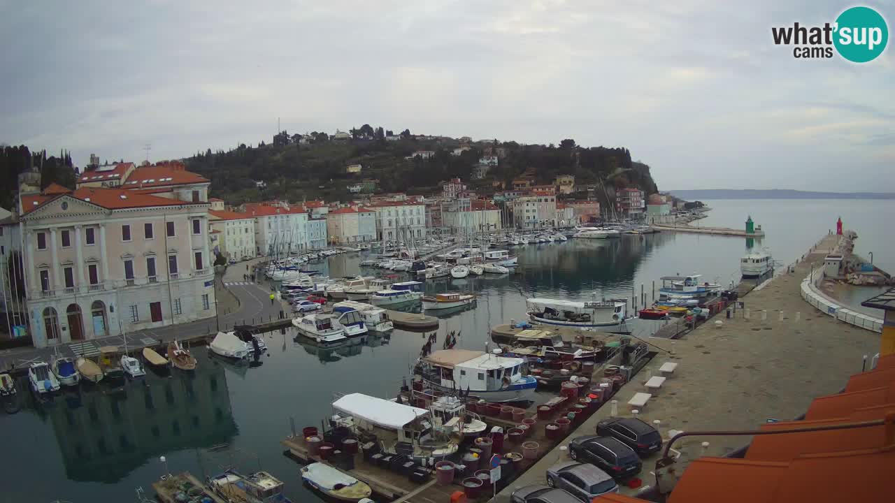 Live webcam da Pirano “Mandrač” – Splendida vista live da Villa Piranesi