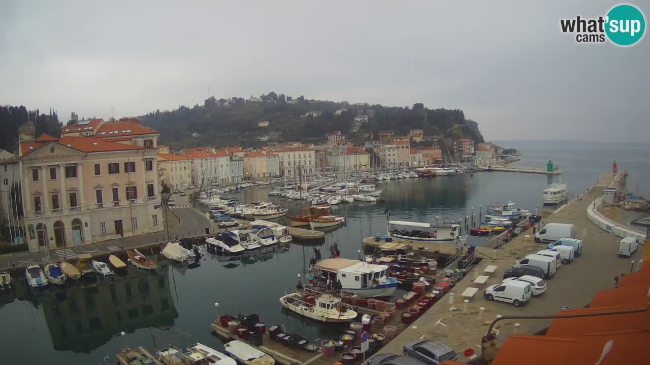 Live webcam da Pirano “Mandrač” – Splendida vista live da Villa Piranesi