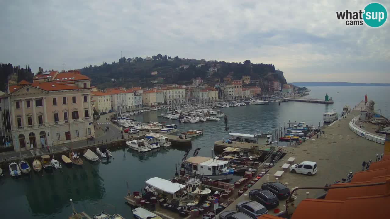 Live-Webcam aus Piran “Mandrač” – Erstaunliche Live-Ansicht von Villa Piranesi