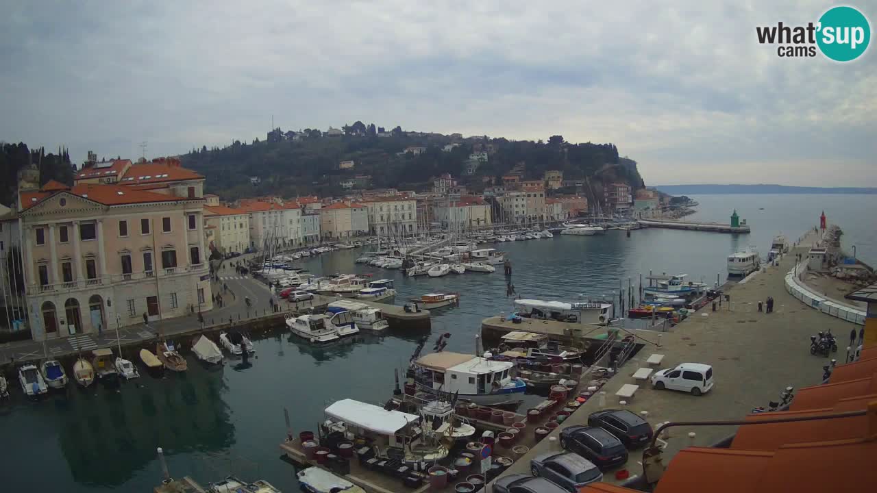 Webcam en direct de Piran “Mandrač” – Incroyable vue en direct de la Villa Piranesi