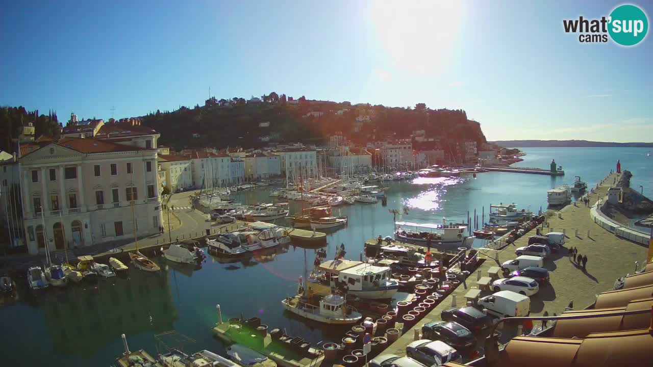 Live webcam da Pirano “Mandrač” – Splendida vista live da Villa Piranesi