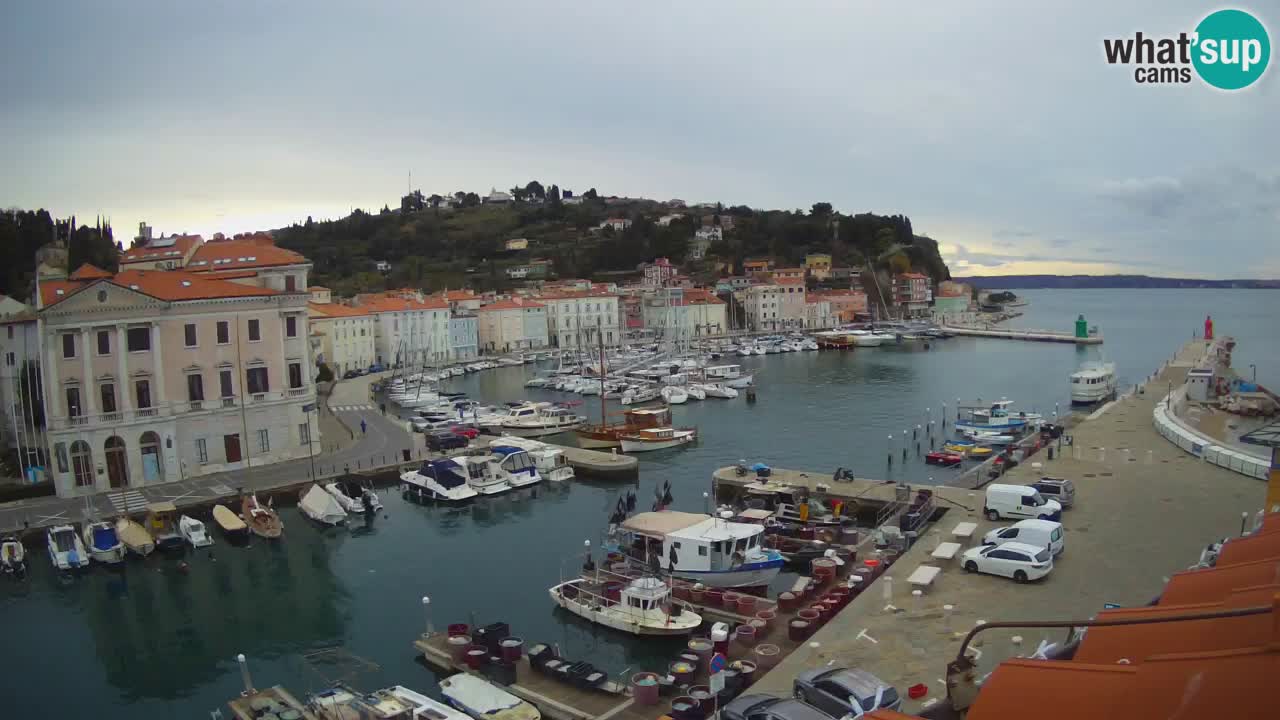 Live webcam from Piran “Mandrač” – Amazing live view from Villa Piranesi