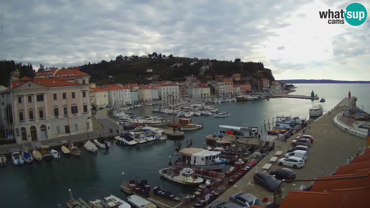 Live webcam da Pirano “Mandrač” – Splendida vista live da Villa Piranesi