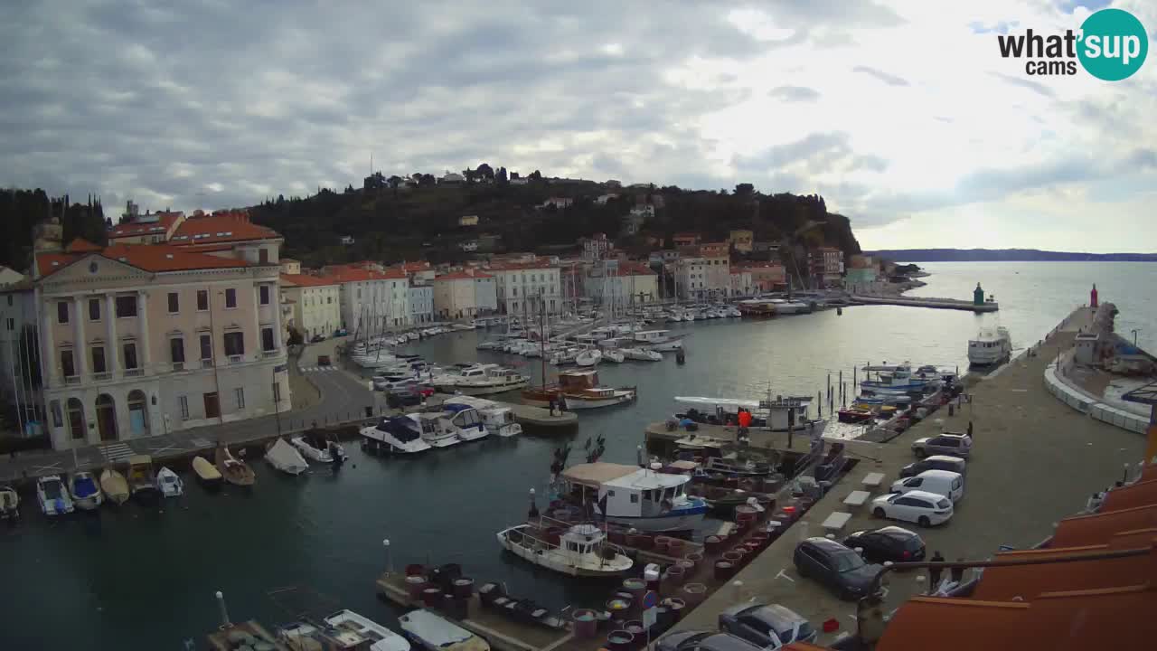 Live webcam da Pirano “Mandrač” – Splendida vista live da Villa Piranesi