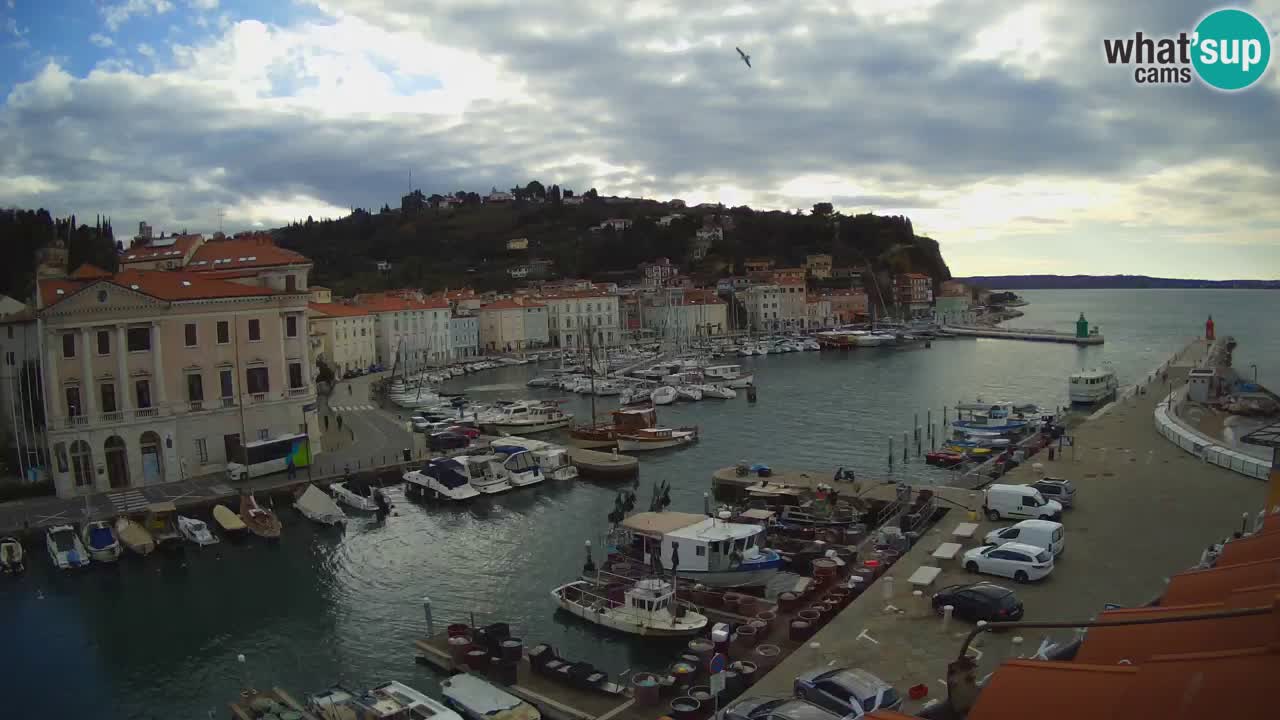 Live-Webcam aus Piran “Mandrač” – Erstaunliche Live-Ansicht von Villa Piranesi