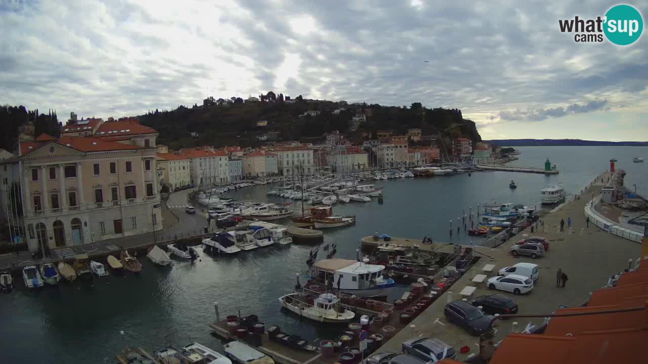 Live webcam da Pirano “Mandrač” – Splendida vista live da Villa Piranesi