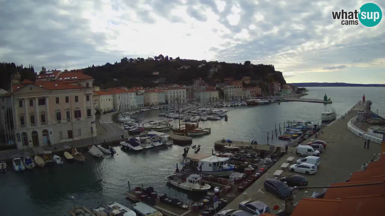 Live webcam da Pirano “Mandrač” – Splendida vista live da Villa Piranesi